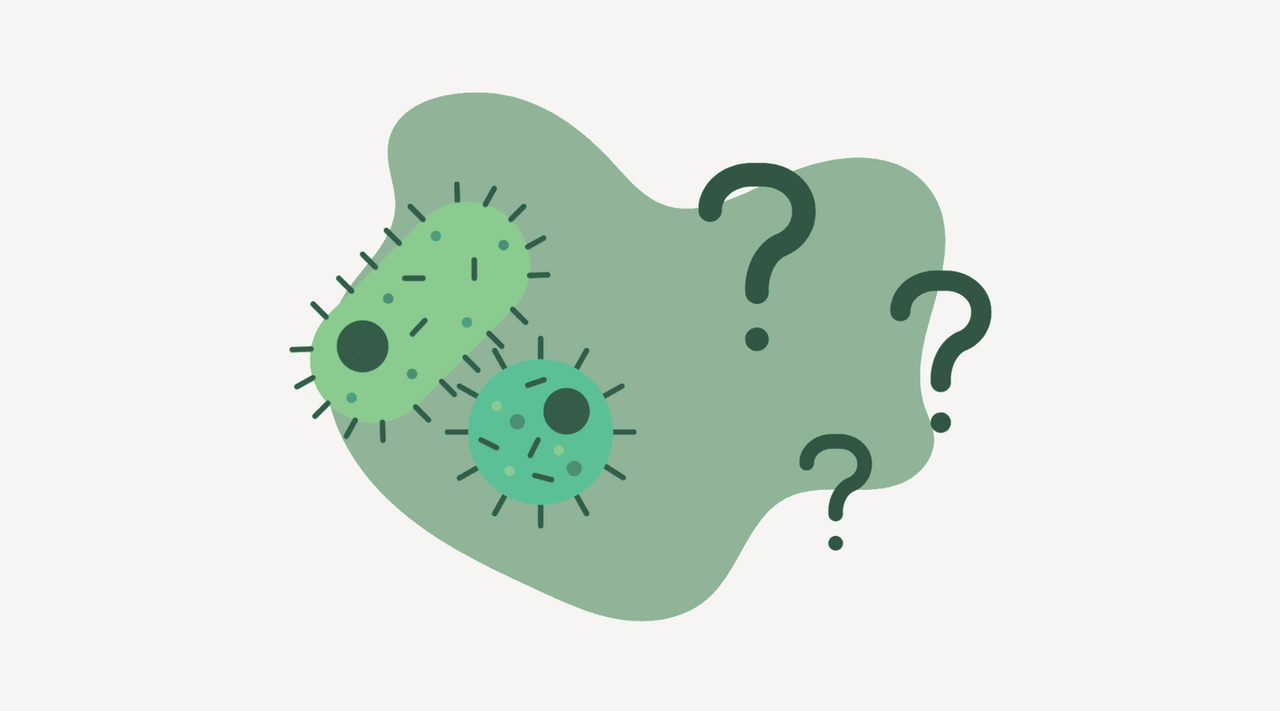 Knnen Chlamydien nach der Behandlung wiederkommen? Check Your Health Knnen Chlamydien nach der Behandlung wiederkommen? Check Your Health